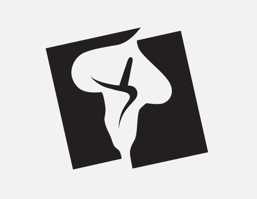 Pictograph