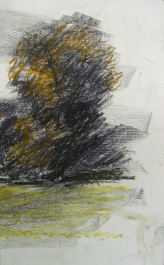 sketch