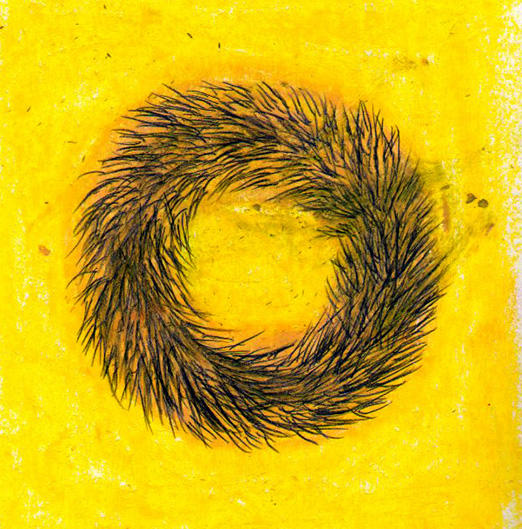 caterpillar
