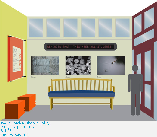 Professional student project