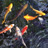 Natural sciences cover