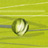 Literary supplement cover